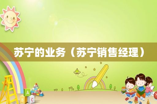 苏宁的业务（苏宁销售经理）  第1张