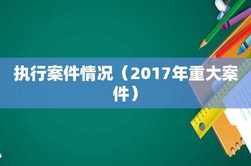 执行案件情况（2017年重大案件）  第1张