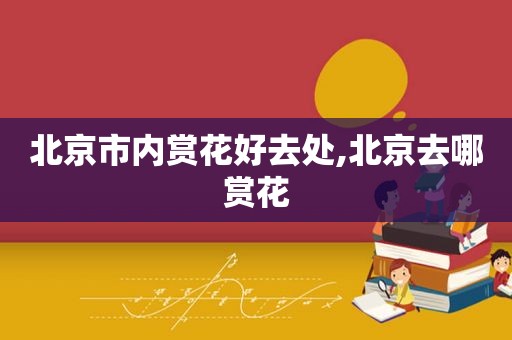 北京市内赏花好去处,北京去哪赏花
