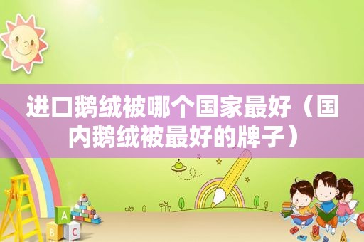 进口鹅绒被哪个国家最好（国内鹅绒被最好的牌子）