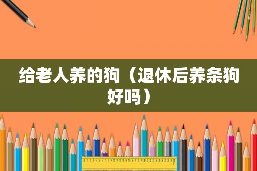 给老人养的狗（退休后养条狗好吗）