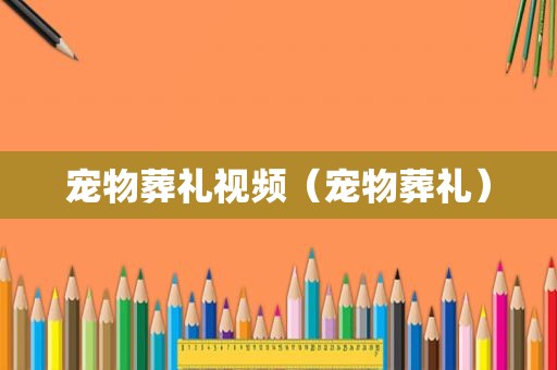 宠物葬礼视频（宠物葬礼）