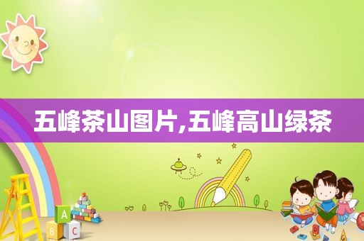 五峰茶山图片,五峰高山绿茶