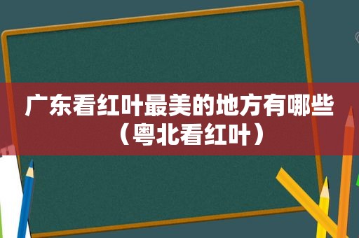 广东看红叶最美的地方有哪些（粤北看红叶）  第1张