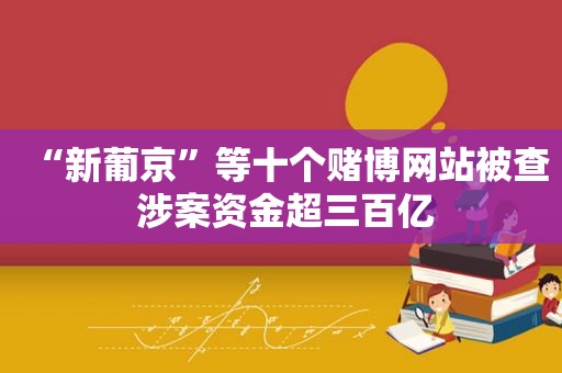 “ *** ”等十个 *** 网站被查 涉案资金超三百亿