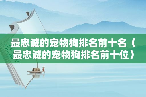 最忠诚的宠物狗排名前十名（最忠诚的宠物狗排名前十位）