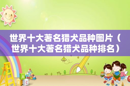 世界十大著名猎犬品种图片（世界十大著名猎犬品种排名）