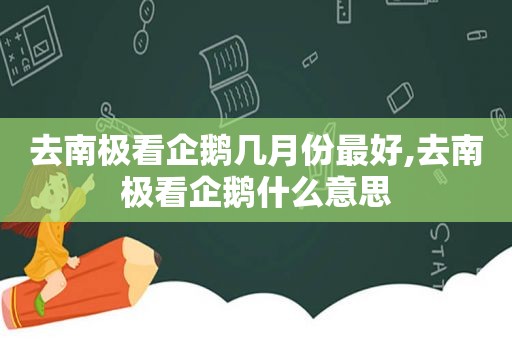去南极看企鹅几月份最好,去南极看企鹅什么意思
