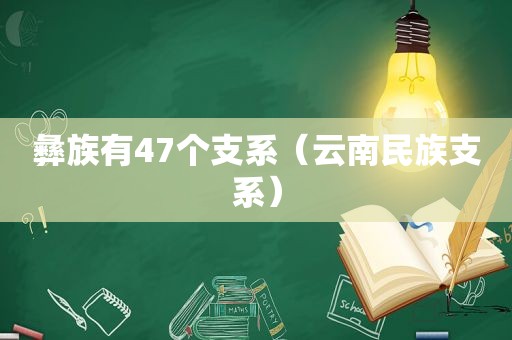 彝族有47个支系（云南民族支系）
