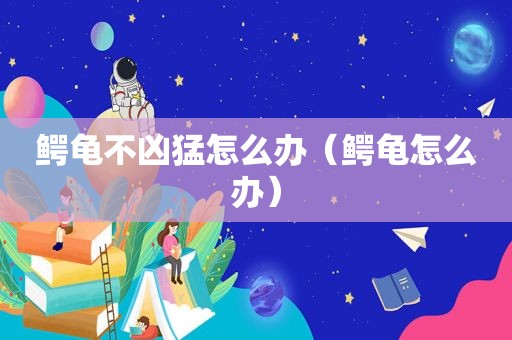 鳄龟不凶猛怎么办（鳄龟怎么办）