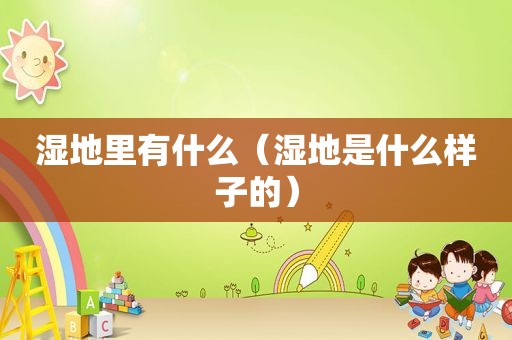 湿地里有什么（湿地是什么样子的）