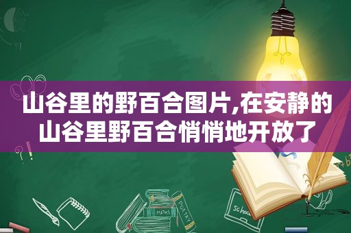 山谷里的野百合图片,在安静的山谷里野百合悄悄地开放了  第1张