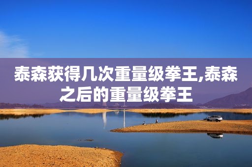泰森获得几次重量级拳王,泰森之后的重量级拳王