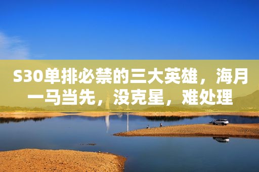 S30单排必禁的三大英雄，海月一马当先，没克星，难处理