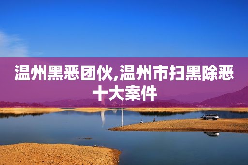 温州黑恶团伙,温州市扫黑除恶十大案件