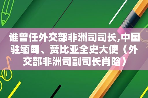 谁曾任外交部非洲司司长,中国驻 *** 、赞比亚全史大使（外交部非洲司副司长肖晗）