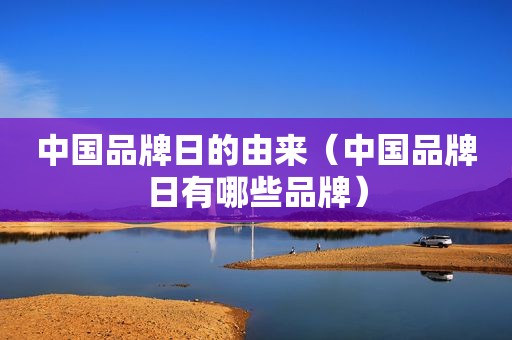 中国品牌日的由来（中国品牌日有哪些品牌）