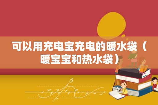 可以用充电宝充电的暖水袋（暖宝宝和热水袋）