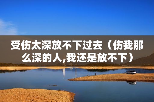 受伤太深放不下过去（伤我那么深的人,我还是放不下）