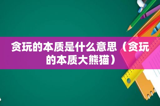 贪玩的本质是什么意思（贪玩的本质大熊猫）