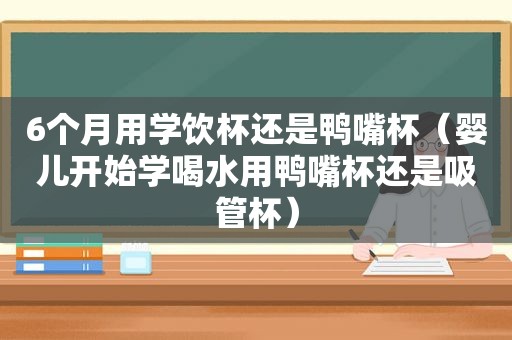6个月用学饮杯还是鸭嘴杯（婴儿开始学喝水用鸭嘴杯还是吸管杯）