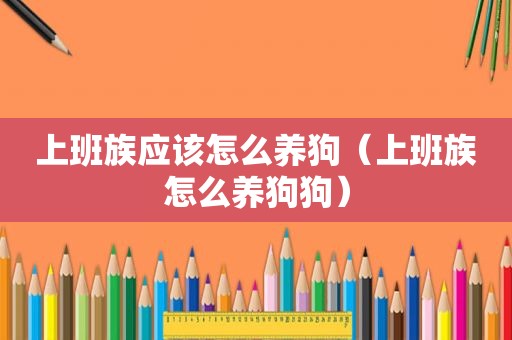 上班族应该怎么养狗（上班族怎么养狗狗）
