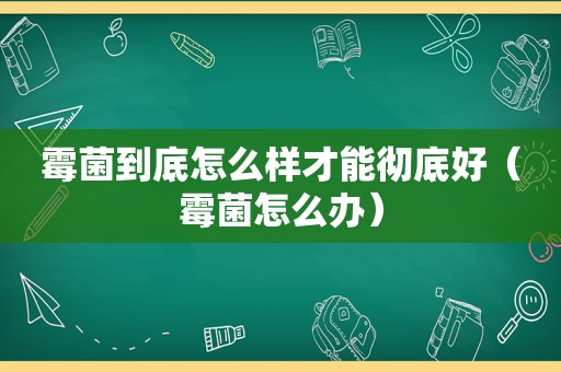 霉菌到底怎么样才能彻底好（霉菌怎么办）