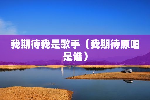 我期待我是歌手（我期待原唱是谁）