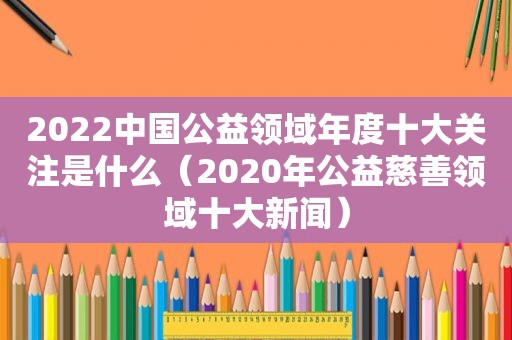 2022中国公益领域年度十大关注是什么（2020年公益慈善领域十大新闻）