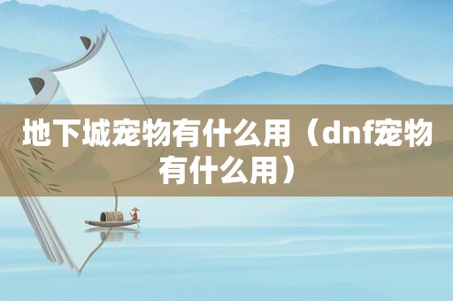 地下城宠物有什么用（dnf宠物有什么用）
