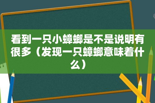 看到一只小蟑螂是不是说明有很多（发现一只蟑螂意味着什么）
