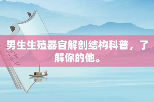 男生生殖器官解剖结构科普，了解你的他。