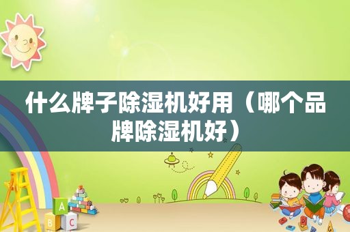 什么牌子除湿机好用（哪个品牌除湿机好）