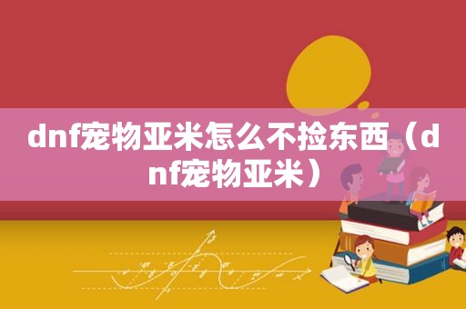 dnf宠物亚米怎么不捡东西（dnf宠物亚米）