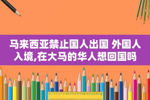 马来西亚禁止国人出国 外国人入境,在大马的华人想回国吗