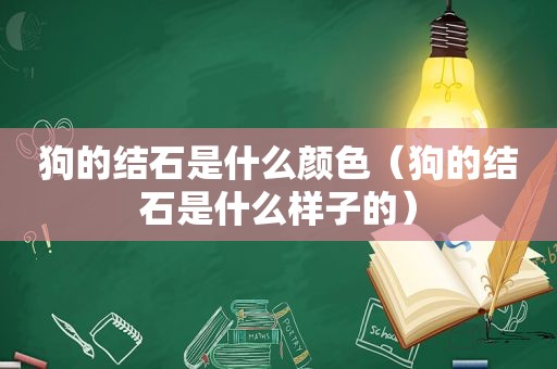 狗的结石是什么颜色（狗的结石是什么样子的）