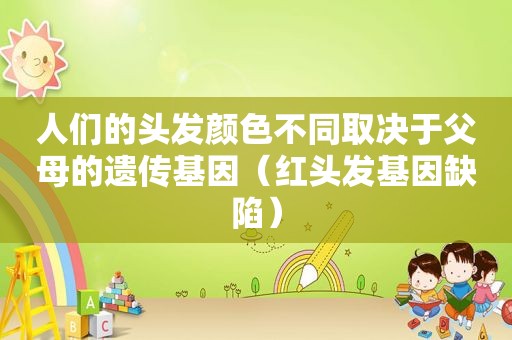 人们的头发颜色不同取决于父母的遗传基因（红头发基因缺陷）