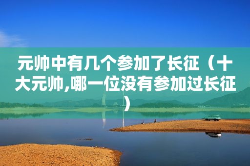 元帅中有几个参加了长征（十大元帅,哪一位没有参加过长征）  第1张