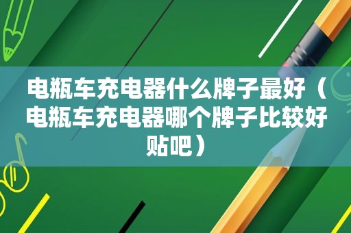 电瓶车充电器什么牌子最好（电瓶车充电器哪个牌子比较好贴吧）  第1张