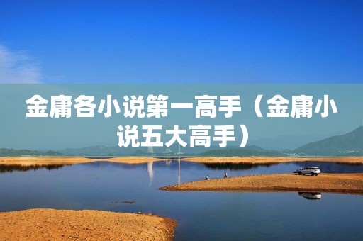金庸各小说第一高手（金庸小说五大高手）  第1张