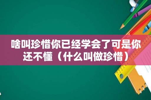 啥叫珍惜你已经学会了可是你还不懂（什么叫做珍惜）