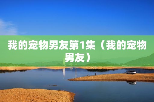 我的宠物男友第1集（我的宠物男友）  第1张