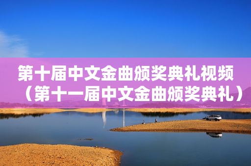 第十届中文金曲颁奖典礼视频（第十一届中文金曲颁奖典礼）  第1张