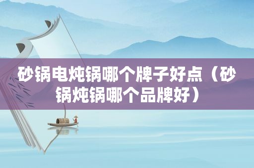 砂锅电炖锅哪个牌子好点（砂锅炖锅哪个品牌好）