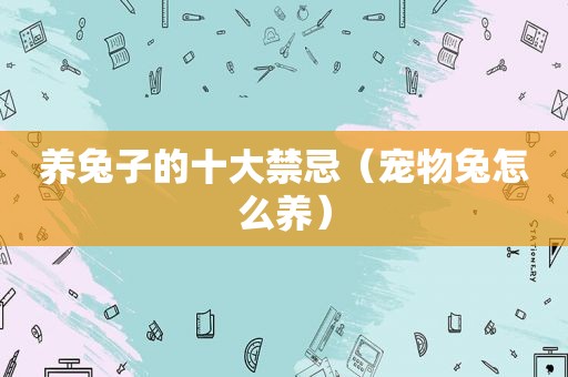 养兔子的十大禁忌（宠物兔怎么养）