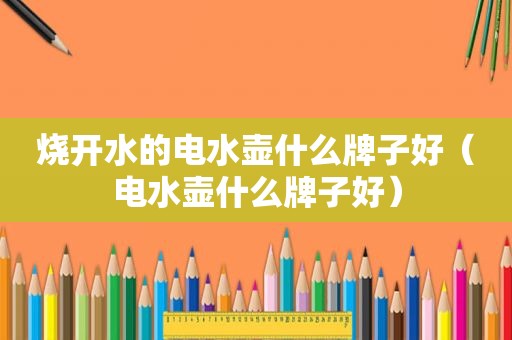 烧开水的电水壶什么牌子好（电水壶什么牌子好）