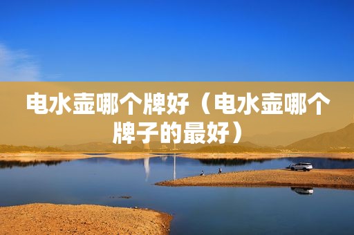 电水壶哪个牌好（电水壶哪个牌子的最好）
