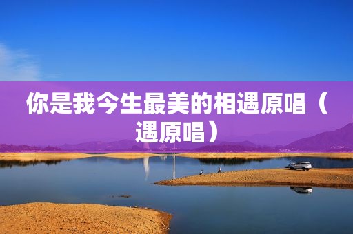 你是我今生最美的相遇原唱（遇原唱）  第1张
