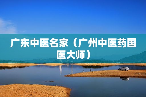 广东中医名家（广州中医药国医大师）