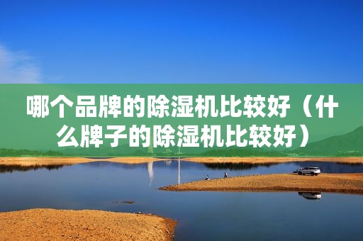 哪个品牌的除湿机比较好（什么牌子的除湿机比较好）